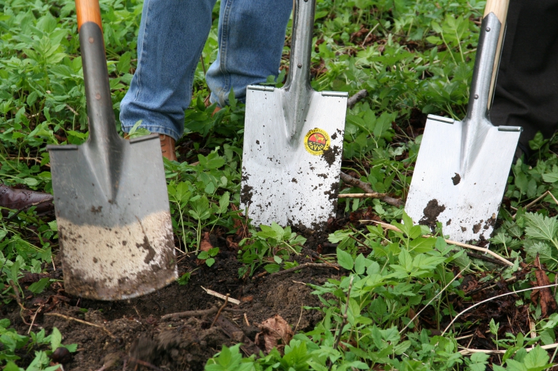 pepiniere-SALERNES-min_work-lawn-flower-tool-green-backyard-1103633-pxhere.com